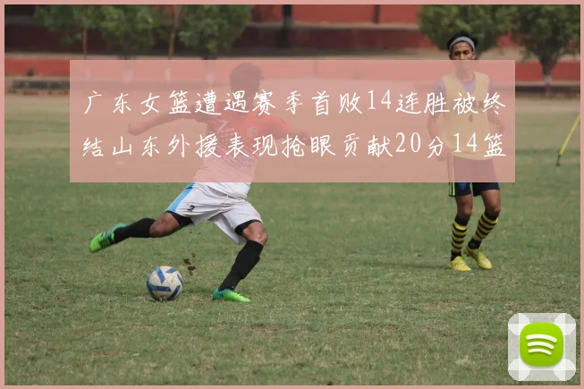 广东女篮遭遇赛季首败14连胜被终结山东外援表现抢眼贡献20分14篮板5助攻