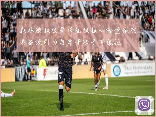 森林狼积极寻求组织核心哈登依然具备吸引力与华子联手可能性