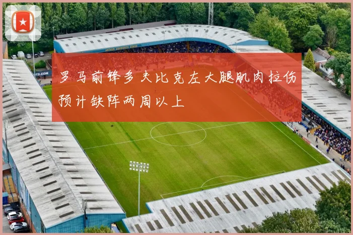 罗马前锋多夫比克左大腿肌肉拉伤预计缺阵两周以上