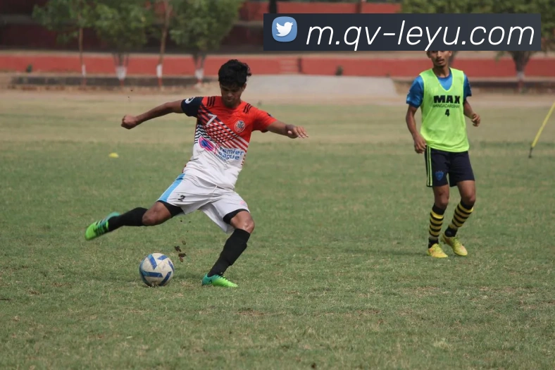 乐鱼体育品牌故事