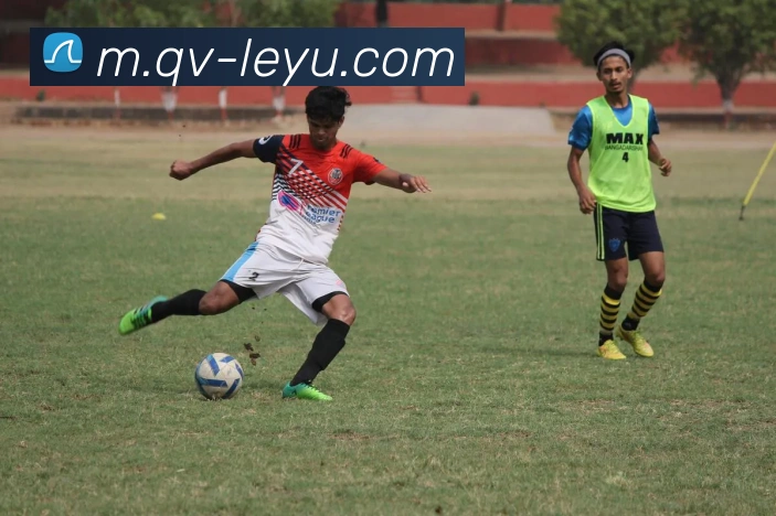 乐鱼体育服务体系